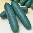 Les serres des prés