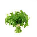 Les serres des prés