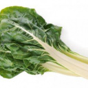 Les serres des prés