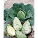 Les serres des prés