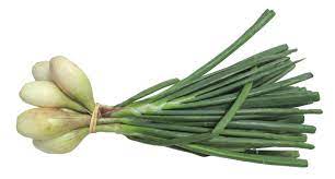 Les serres des prés