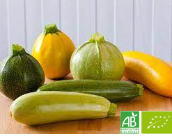 Courgette verte bio